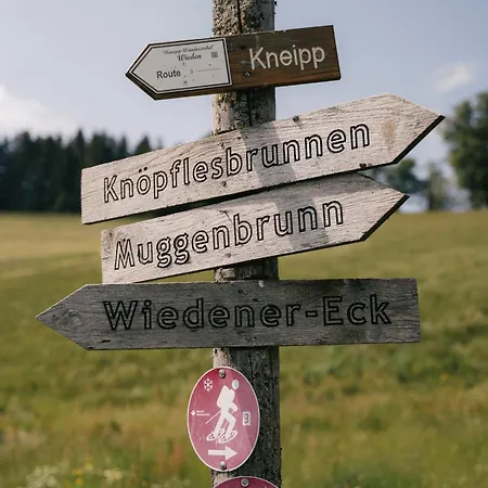 Otel Wiedener Eck