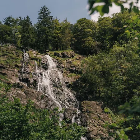 Wiedener Eck Hotel 4*